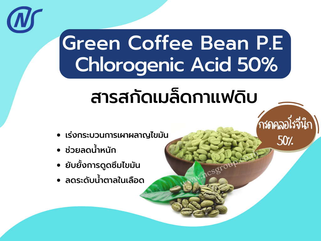 Green Coffee Bean P.E. Chlorogenic Acid 50%